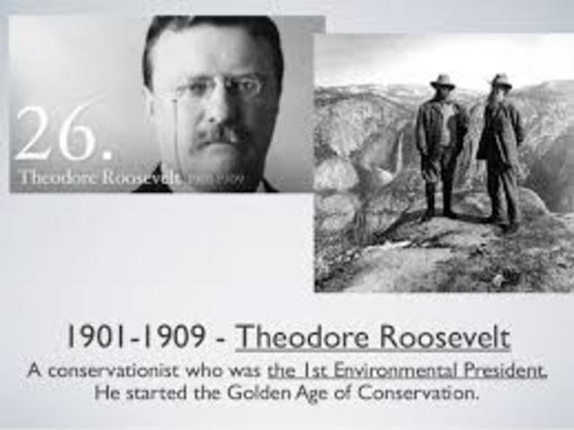 Golden Age of Conservation (Theodore Roosevelt)