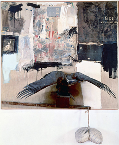 Robert Rauschenberg Canyon