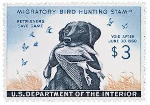 Migratory Bird Hunting Stamp Act