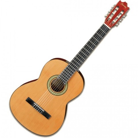 guitarra
