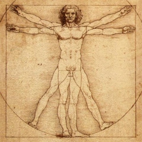 Da Vinci's study on Human Anatomy