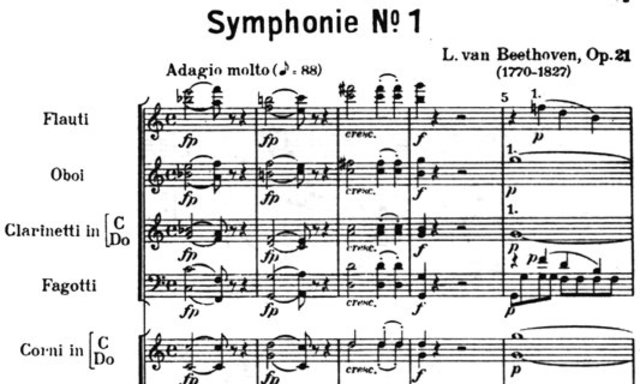 Ludwig van Beethoven (Musician)