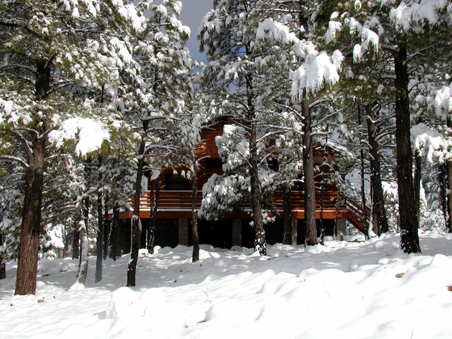 our cabin
