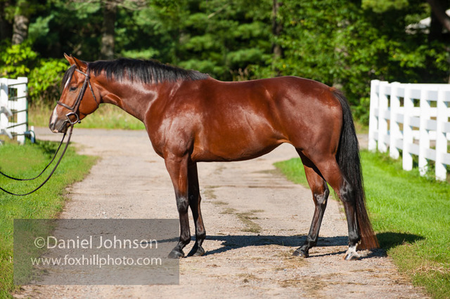 risked his life for other people