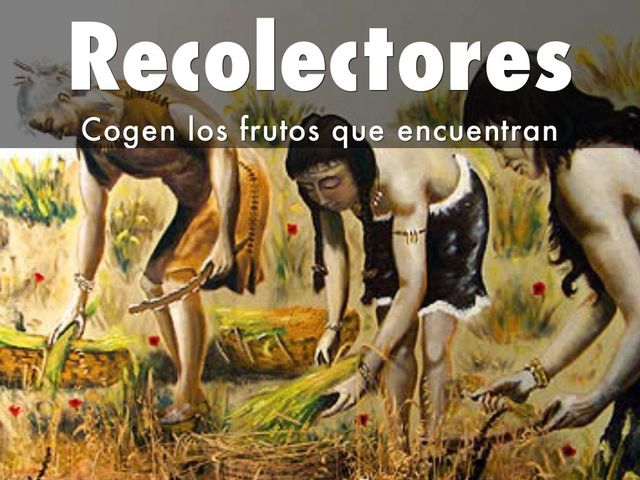 Recolectores