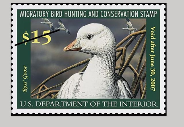 Migratory Bird Hunting Stamp Act