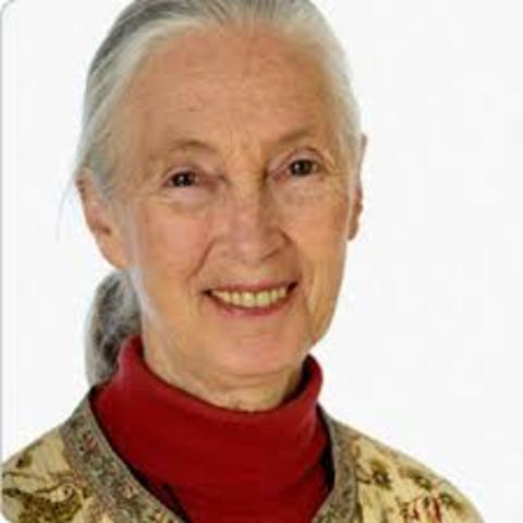 82 and in the Present