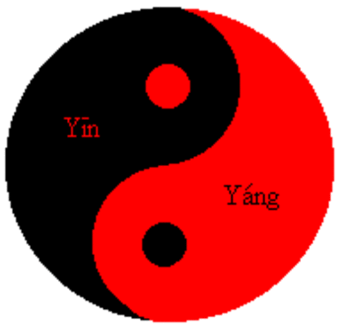 The Yin Yang