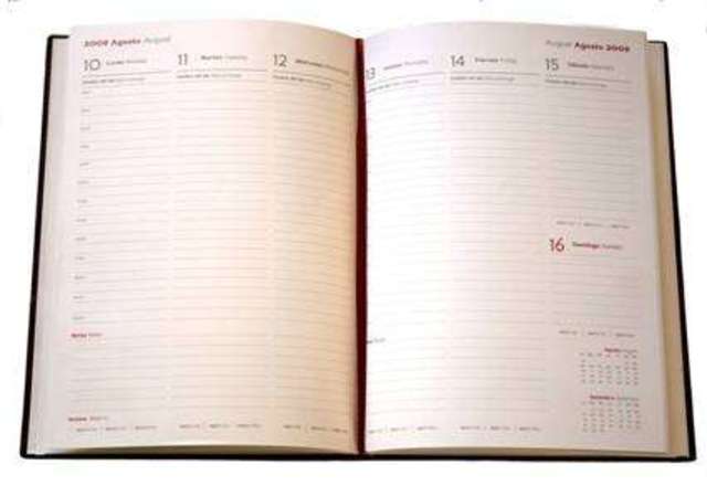 REALIZACIÓN DE LA AGENDA ESTUDIANTIL