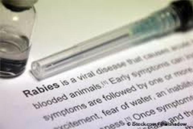 rabies