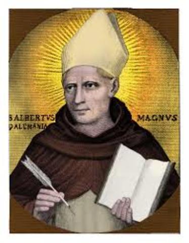 Albertus Magnus