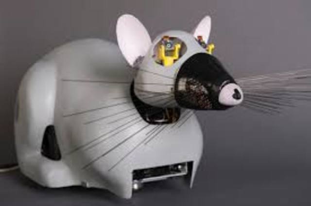 robot souris
