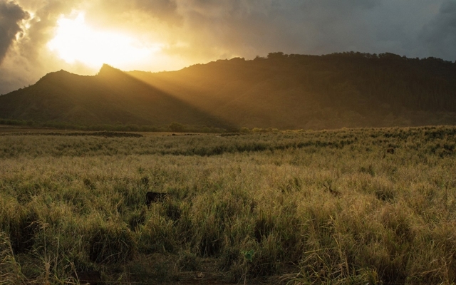 Land and Population Growth