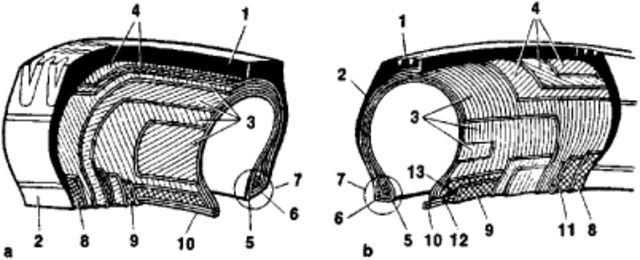 The pneumatic tire is created (Pneumatic meaning: Inflation of the tire).