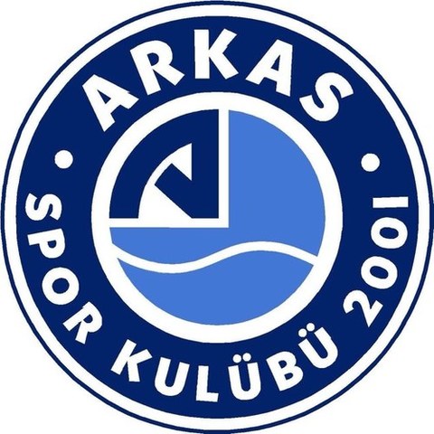 Play Professional Volleyball