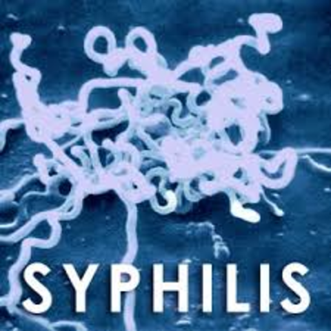 syphilis