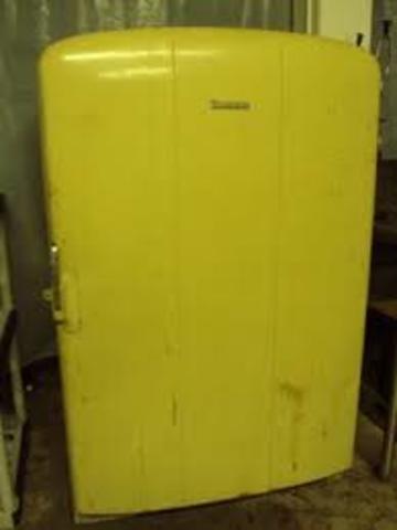 The new refrigerator