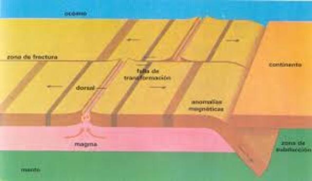 El relieve oceánico: dorsales y fosas