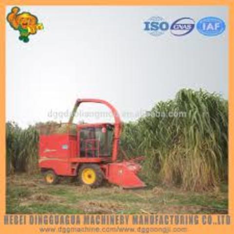 Corn Silage Harvester
