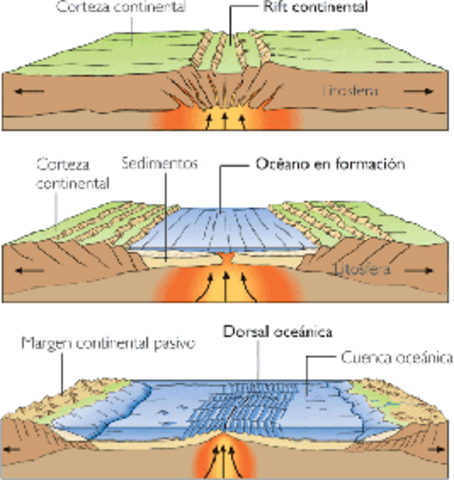 Los desplazamientos de las placas