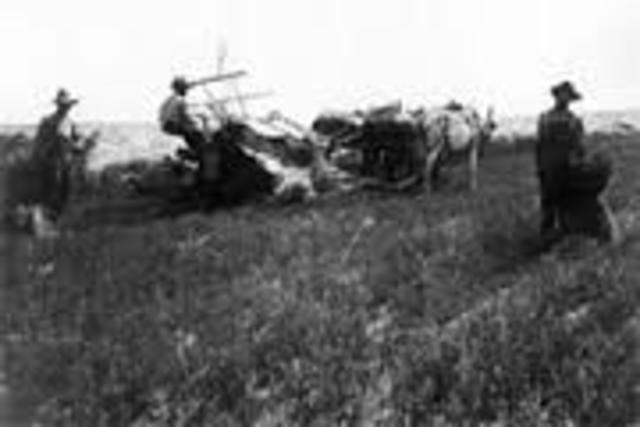 Prairie-type combine