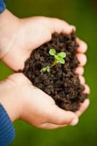 Las malas prácticas sobre el ambiente natural durante los periodos de colonización