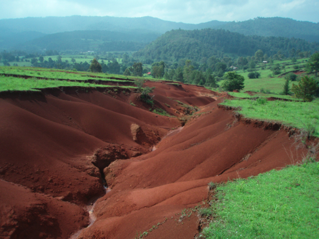 Productividad de las tierras colonizadas, y preocupación por extender las expectativas de sus propias vidas.