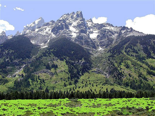 Protección de las reservas de los bosques.