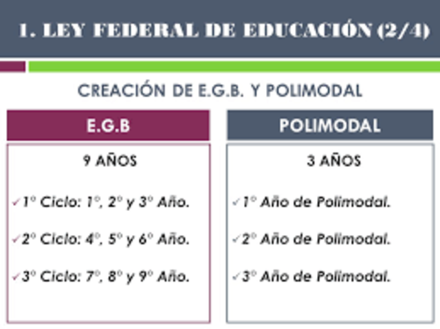 Ley Federal de Educación N° 24.195