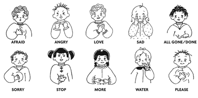Sign Language