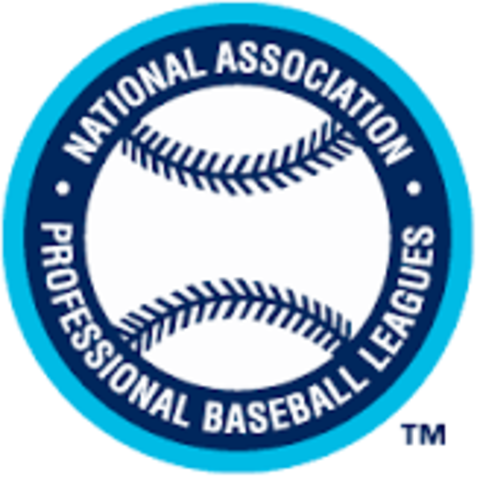 National Association of Professional Base-Ball players organized