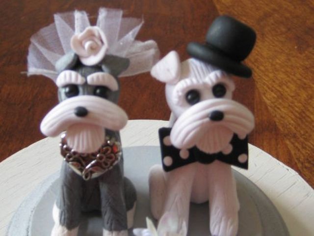 Dogs wedding