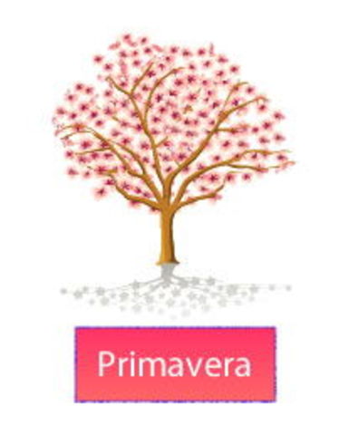 PRIMAVERA    23 SEPTIEMBRE AL 21 DICIEMBRE 2017