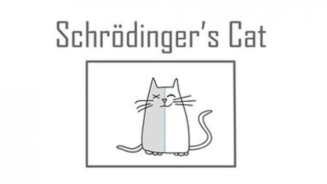 Schrodinger's cat