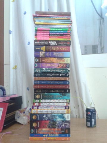 Book reading mania begins