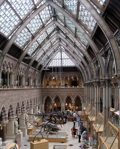 The Pitt Rivers Museum