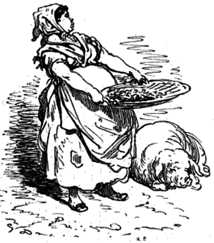 Tercera Salida de Don Quijote