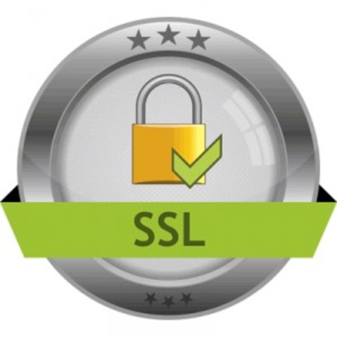 SSL released by Netscape