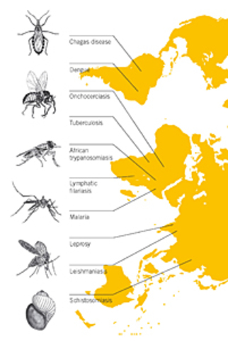 Special Program for Research and Training in Tropical Diseases