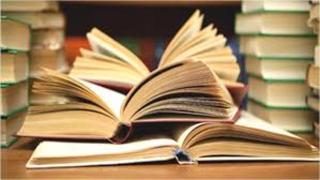 Obra: La Contabilità Applicatta alle Amministrazioni Private e Pubbliche