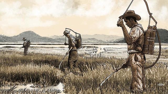 Solution To The Diseases