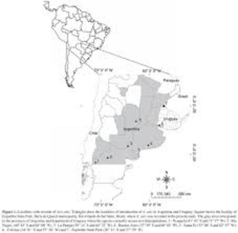 It got expanded by Brazil.