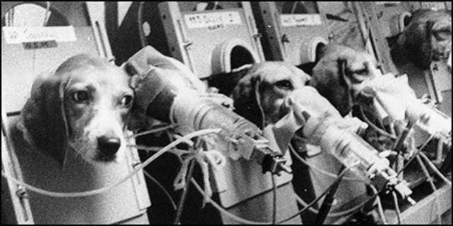 Discussion between Walter B. Cannon and Roosevelt T.