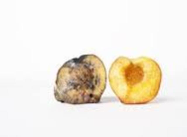 Democritus and decay