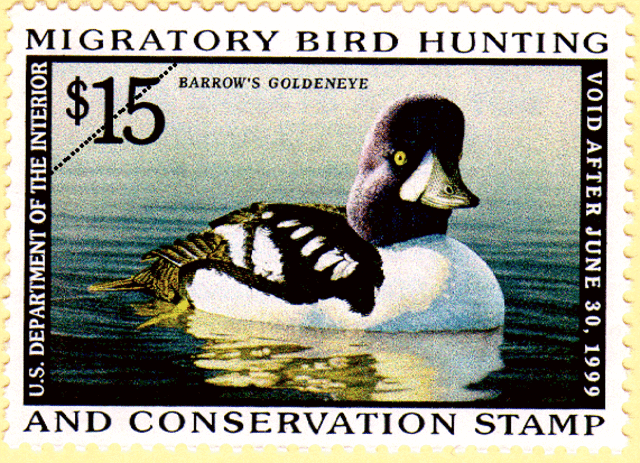 Migratory Bird Hunting Stamp Act