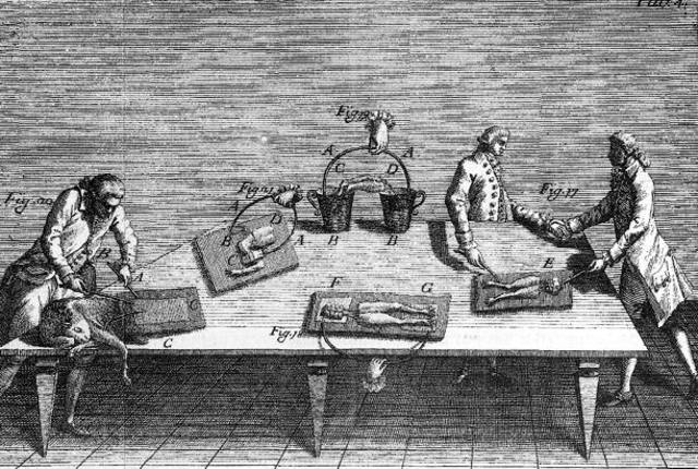 Los científicos de la revolución científica