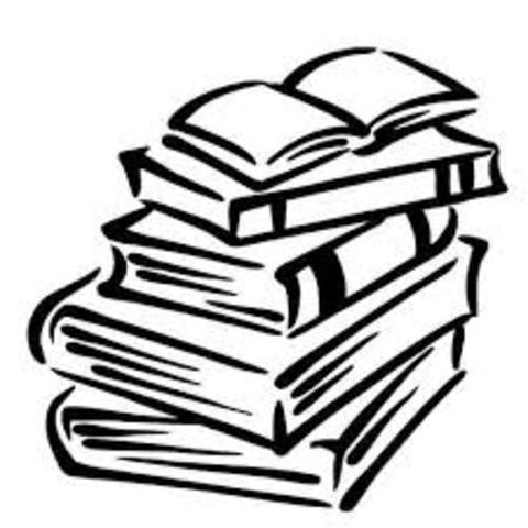 Finaliza estudios complementarios