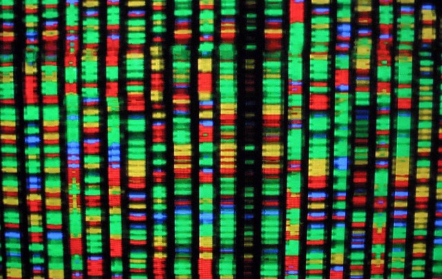 Human genome finally sequenced