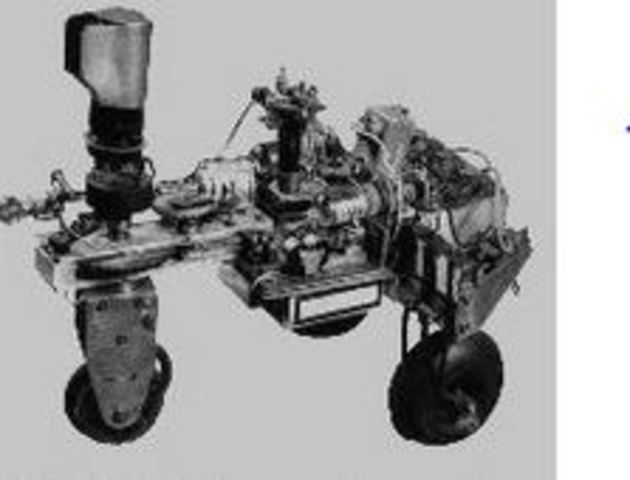 tortue cybernetique de Walter