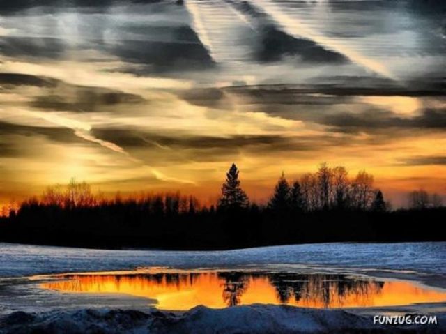 Claude Debussy (Musician)